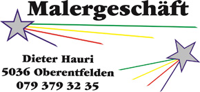 Maler Dieter Hauri